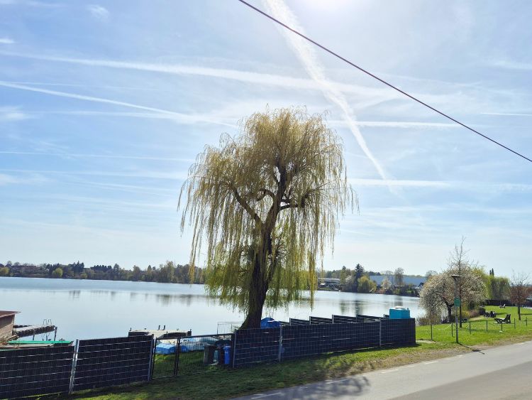 Blick auf den See